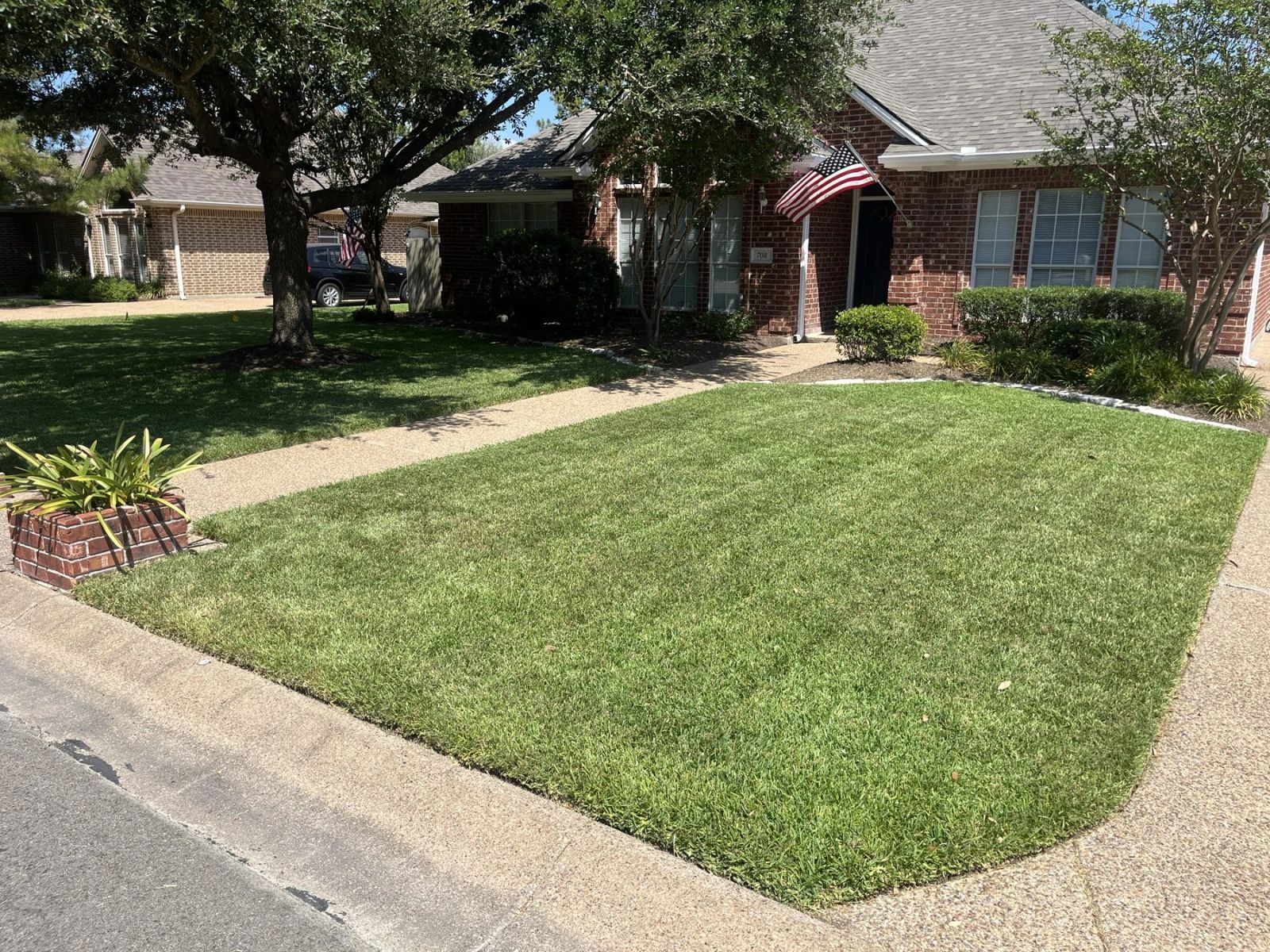 Lawn Fertilizing in Bryan/College Station