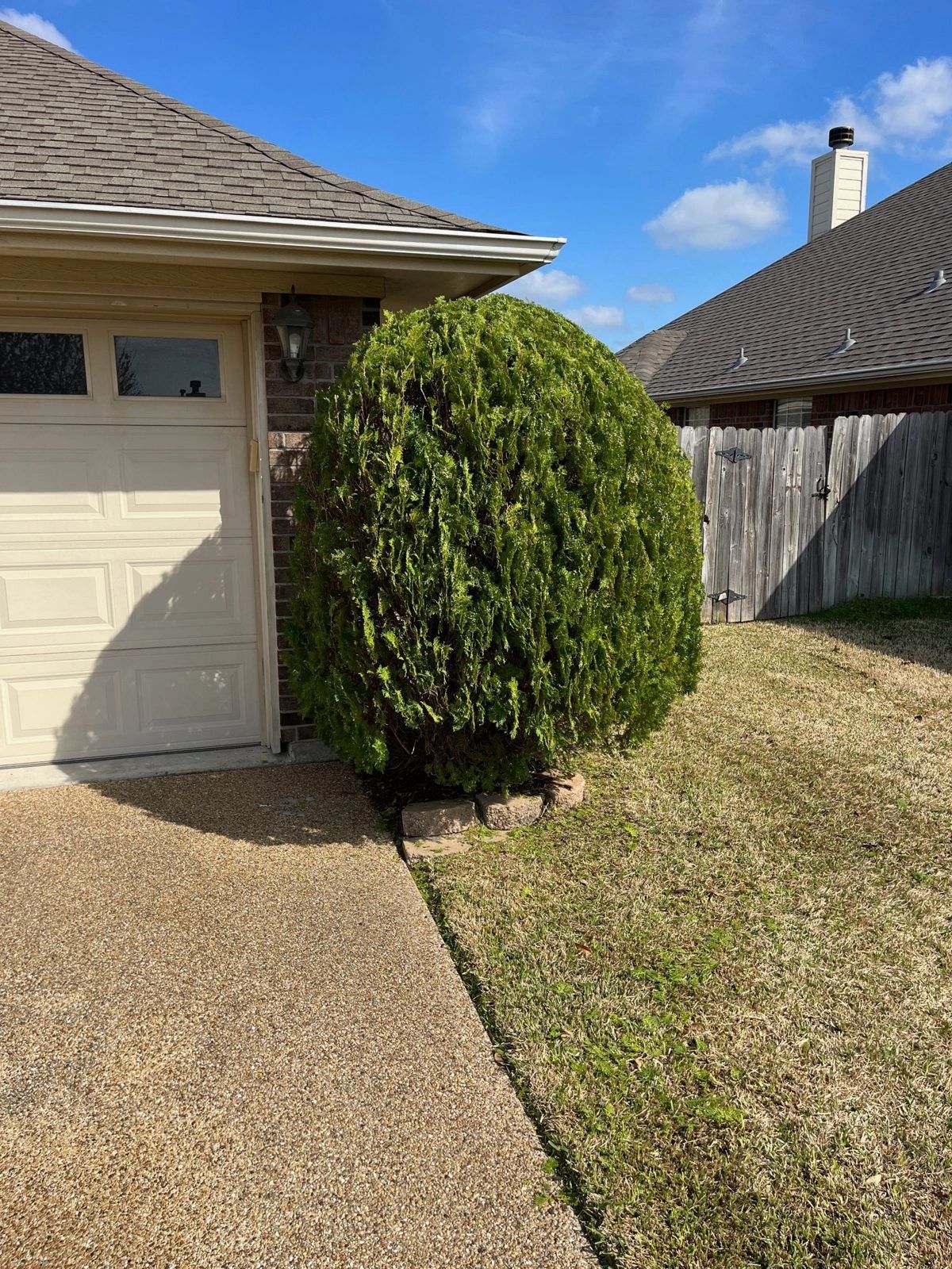 Hedge Trimming in Bryan/College Station