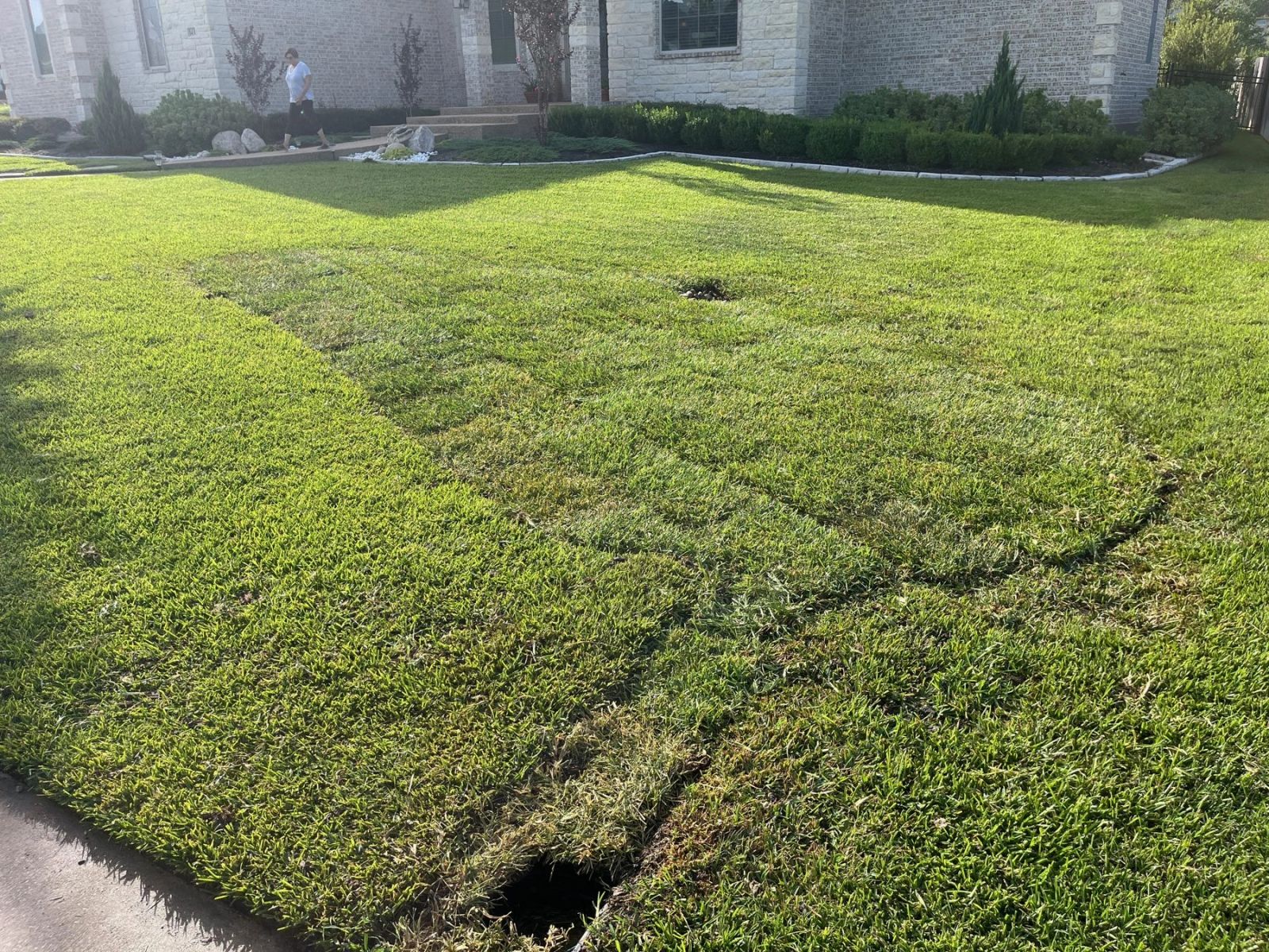 Sod Installation in Bryan/College Station