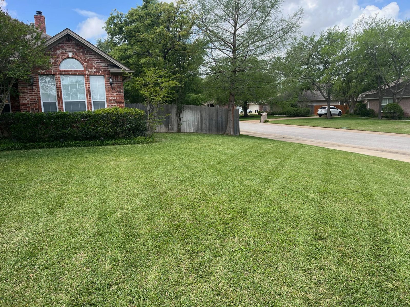 Weed Control in Bryan/College Station